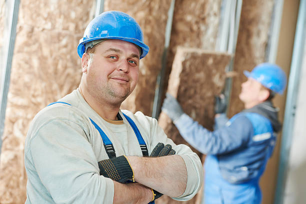 Best Cellulose Insulation in Vincent, AL